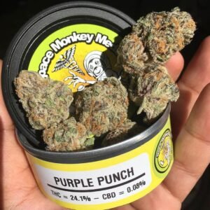 buy purple punch strain