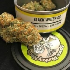 Buy Blackwater OG Online