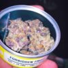 buy Forbidden Fruit weed online